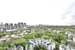 Regency Park (D10), Condominium #393993191